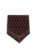 Guest In Residence Reversible Cashmere Paisley Jacquard Scarf — Brown