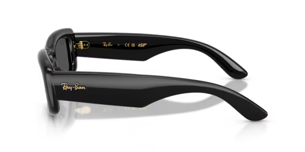 Ray-Ban RB494460187 Sunglasses — Black