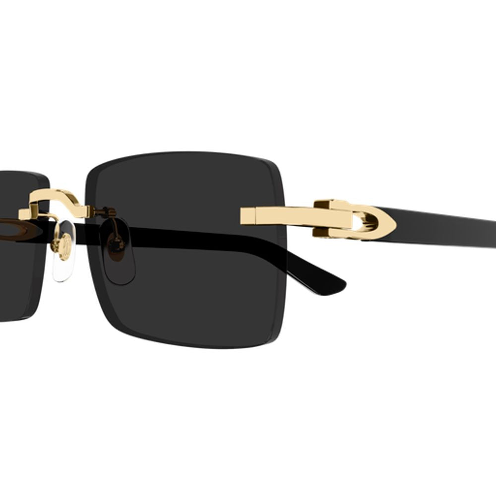 Cartier Eyewear CT0579S Rimless Gold-Tone Sunglasses — Black