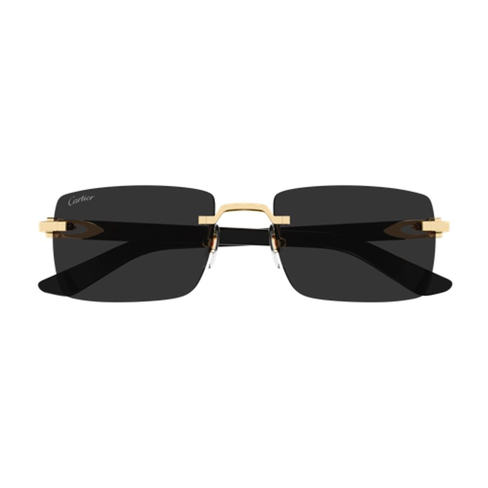 Cartier Eyewear CT0579S Rimless Gold-Tone Sunglasses — Black