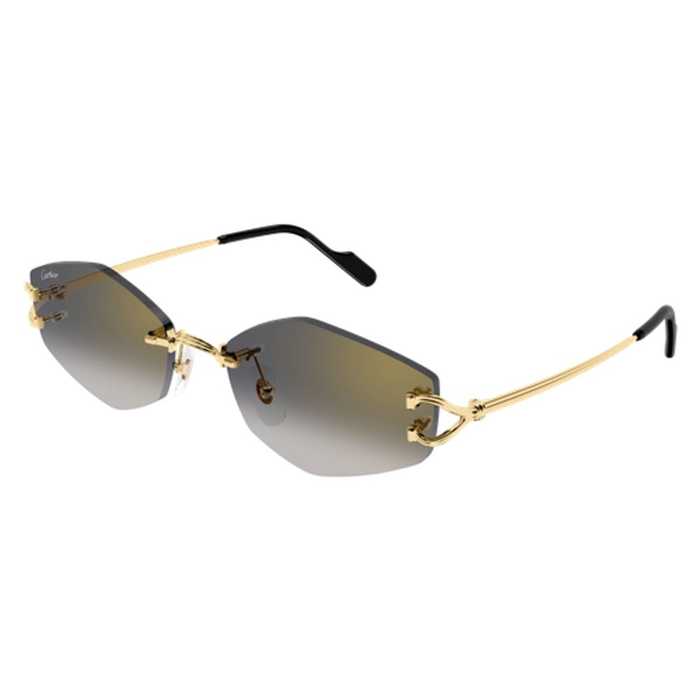 Cartier Eyewear CT0620S001 Sunglasses — Gold