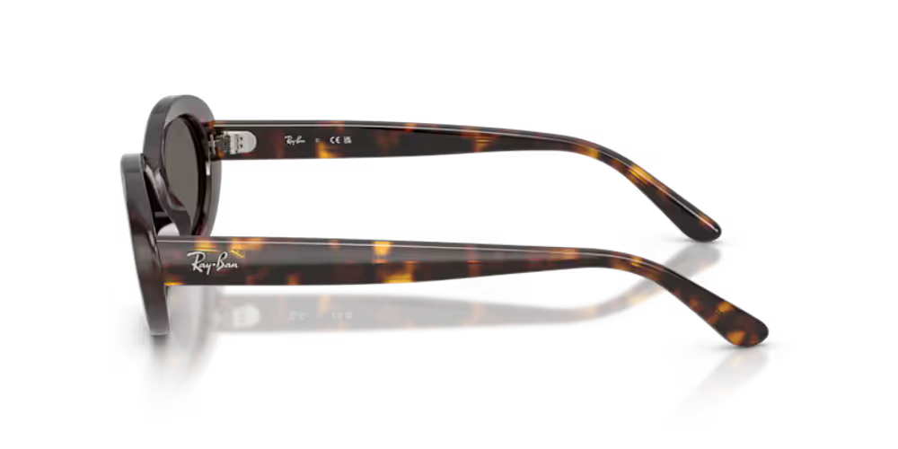 Ray-Ban RB2223902B1 Oval Havana Acetate Sunglasses — Brown