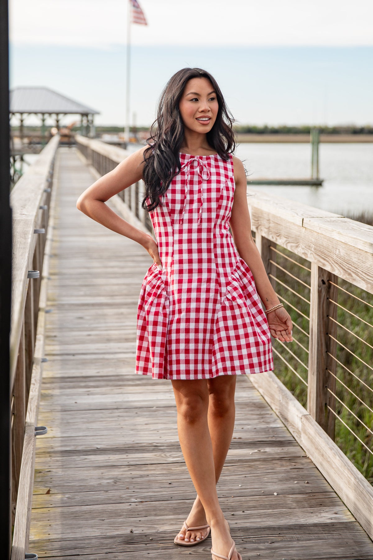 Picnic Stroll Red Gingham Mini Dress